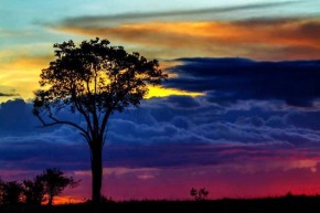 Sunday Grind Colombia